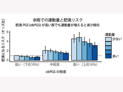 遺伝的に肥満になりやすい人、運動量増でリスク低減の可能性－岩手医科大