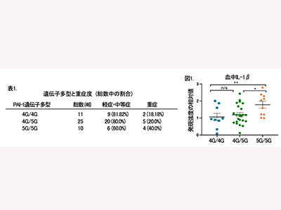 COVID-19、日本人が重症化しづらい背景にPAI-1遺伝子多型－順大ほか