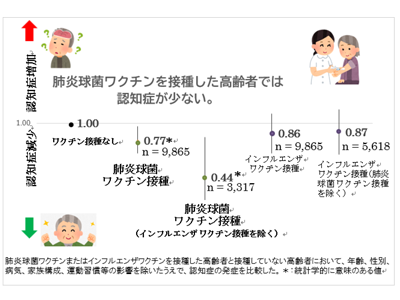 肺炎球菌ワクチン接種の高齢者で認知症減少、インフルワクチンは無関係－新潟大ほか