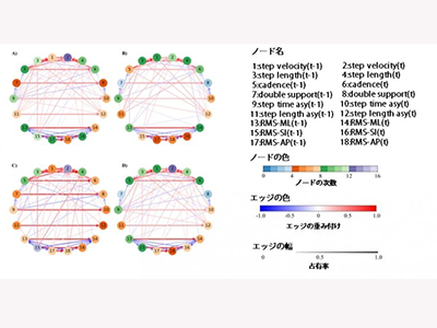 脳卒中患者、日常の歩行制御は3パターンに類型化されると判明－畿央大ほか