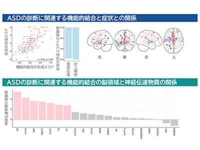 「自閉スペクトラム症」を判別するAI分類器を開発－昭和大ほか