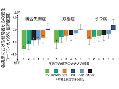 統合失調症・双極症・うつ病、それぞれに特異的な神経細胞変化を解明－金沢大ほか