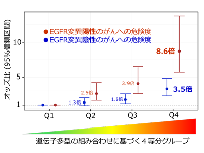 非喫煙者に多いEGFR変異肺がん、遺伝的要因により危険度8倍高まる－国がんほか