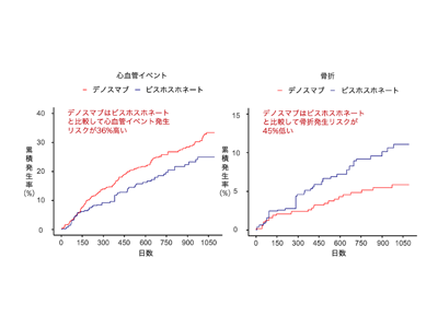 透析患者の骨粗鬆症に対するデノスマブ、骨折リスク低・心血管イベントリスク増－京大