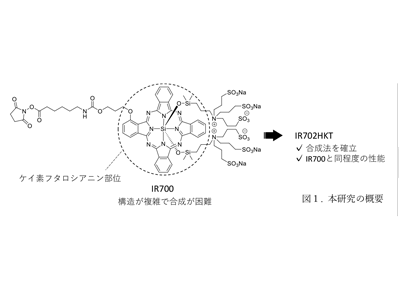 光免疫療法、新しい色素創製につながるIR700誘導体合成に成功－関西医科大ほか