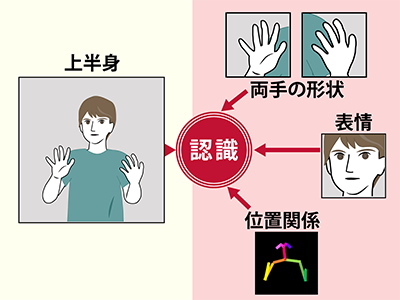 手話単語、AIによる新認識手法を開発－大阪公立大